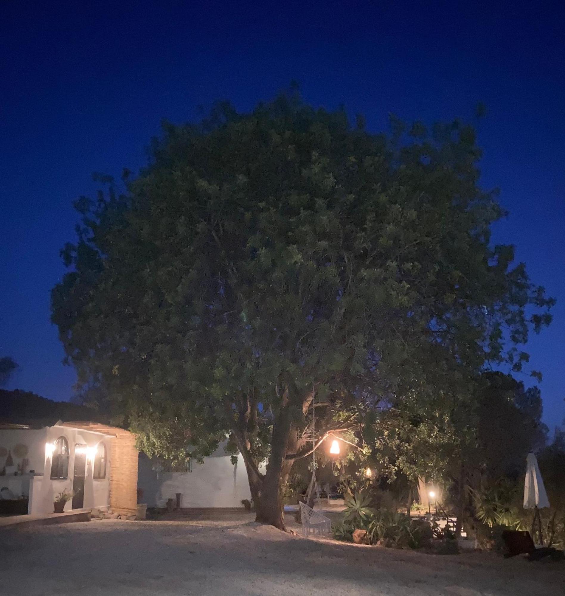 Casa Del Sueno Bed & Breakfast Alora Luaran gambar