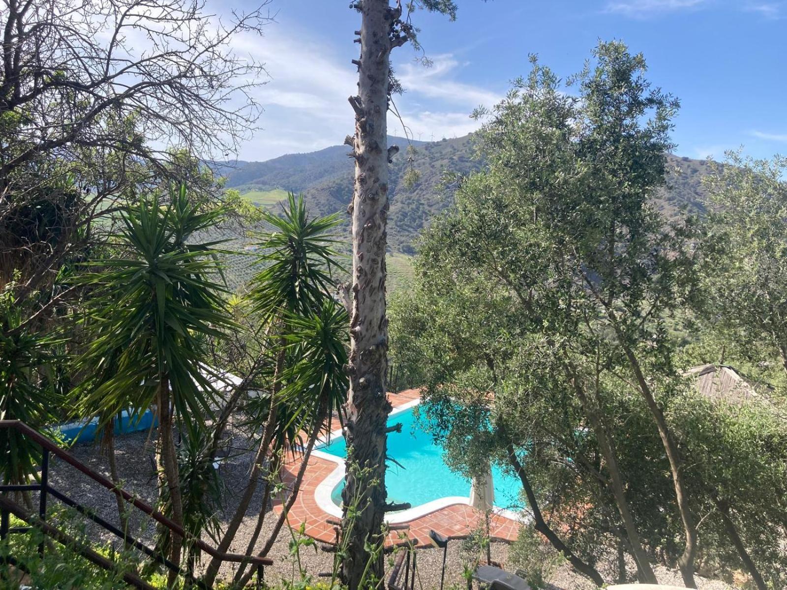 Casa Del Sueno Bed & Breakfast Alora Luaran gambar